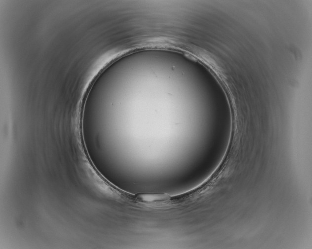 X0000111011392200906191602