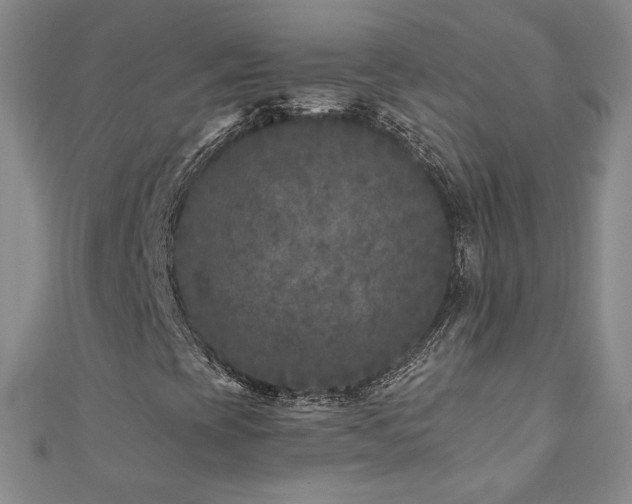 X0000111011393200906191602