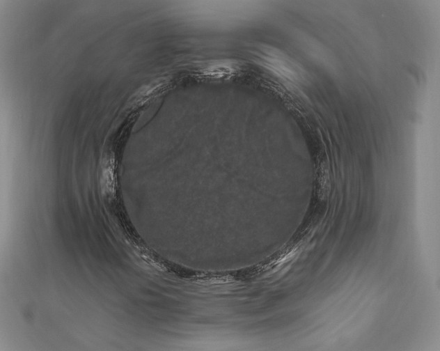 X0000111011394200906191602
