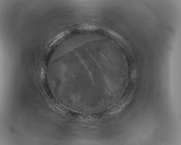 X0000111011397200906191602