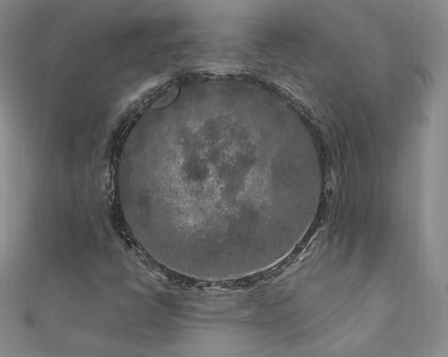 X0000111011398200906191602