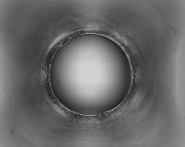 X0000111011400200906191602