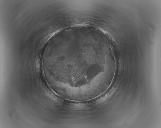 X0000111011401200906191602