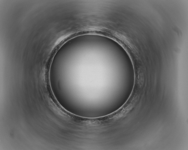 X0000111011404200906191602
