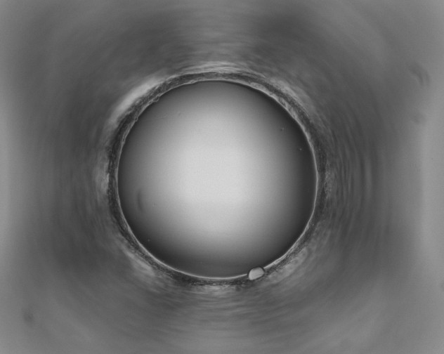 X0000111011406200906191602