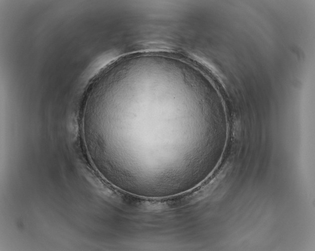 X0000111011407200906191602