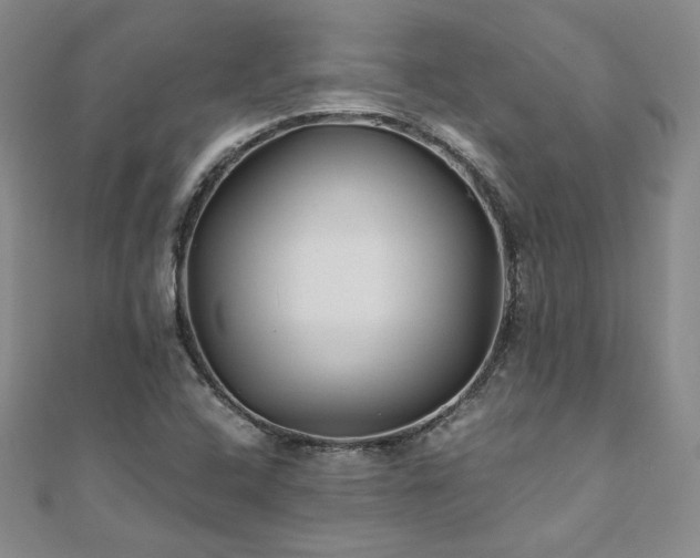 X0000111011408200906191602