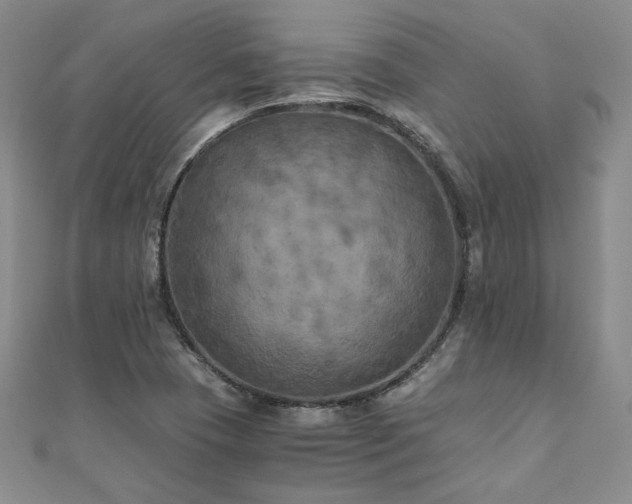 X0000111011409200906191602