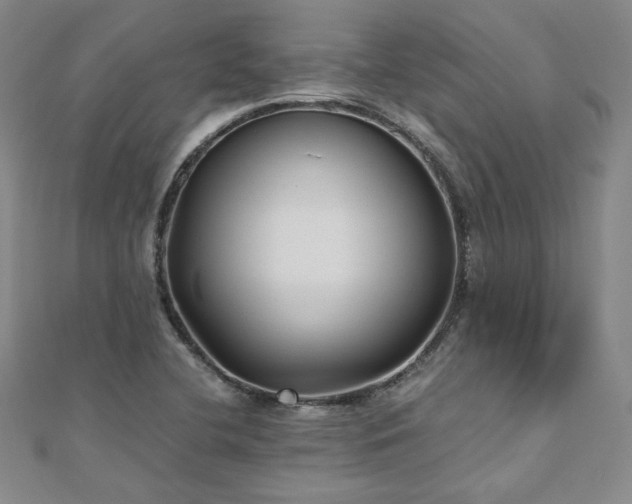 X0000111011412200906191602