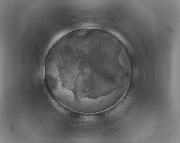 X0000111011413200906191602