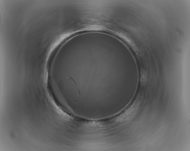 X0000111011414200906191602
