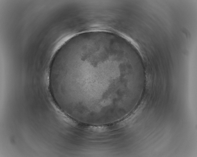 X0000111011415200906191602