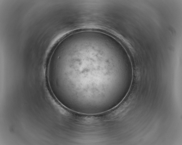 X0000111011416200906191602