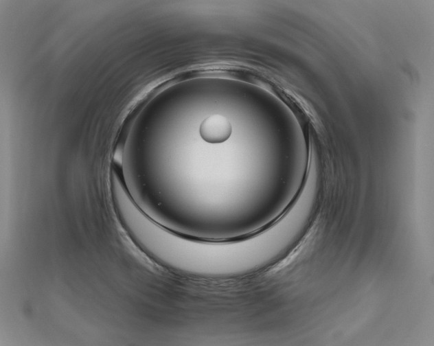 X0000111011417200906191602