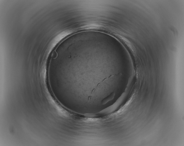X0000111011418200906191602