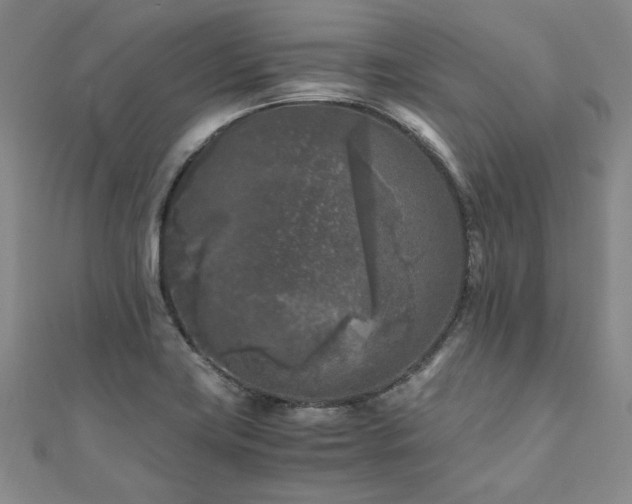 X0000111011419200906191602