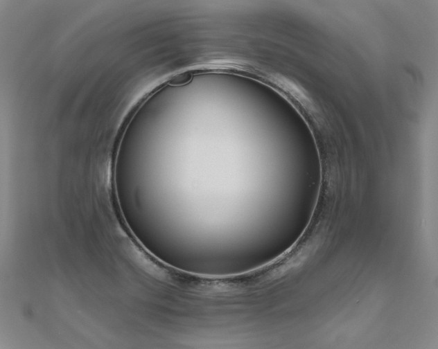 X0000111011420200906191602