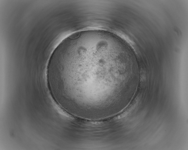 X0000111011423200906191602