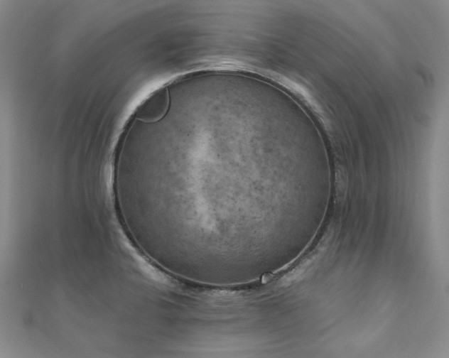 X0000111011424200906191602