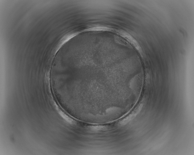 X0000111011425200906191602