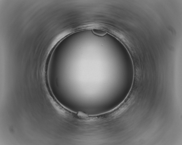 X0000111011426200906191602