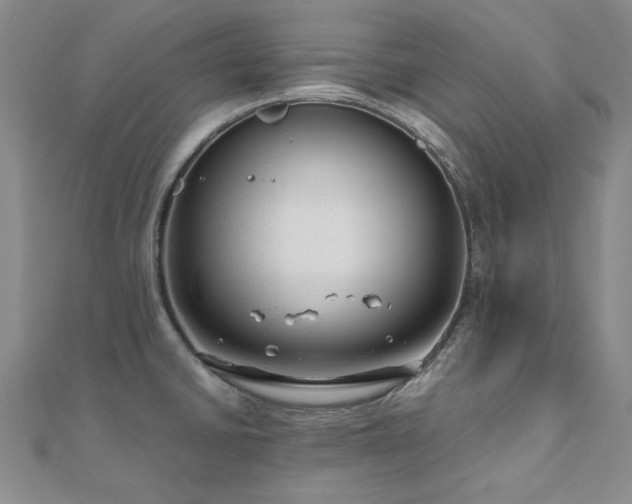 X0000111011430200906191602