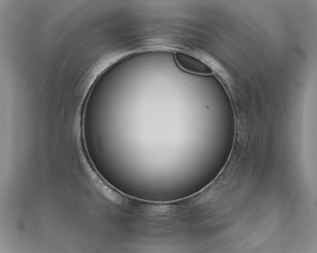 X0000111011431200906191602