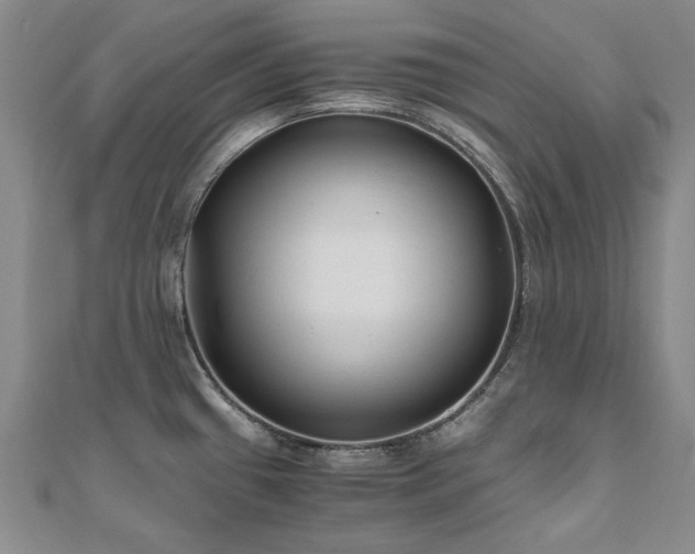 X0000111011433200906191602