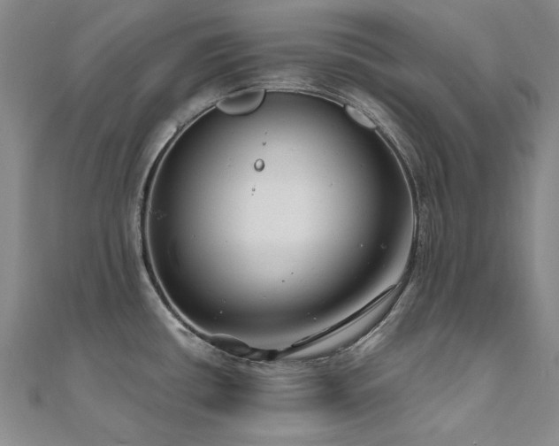 X0000111011434200906191602