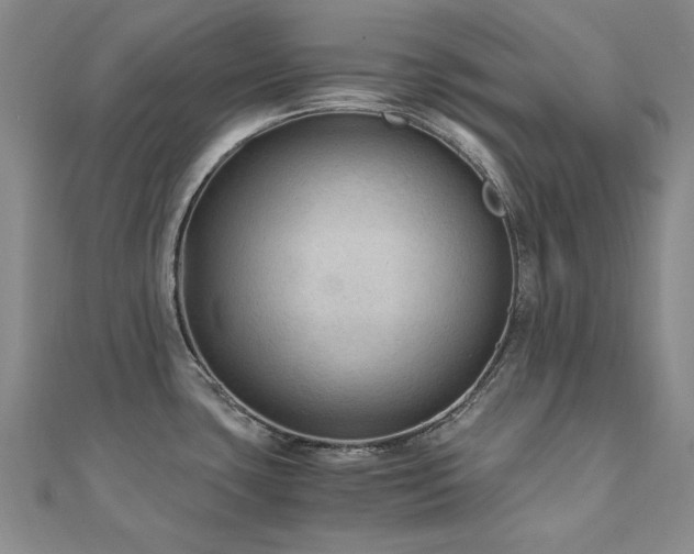 X0000111011435200906191602