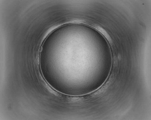 X0000111011436200906191602