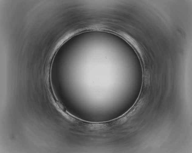 X0000111011437200906191602