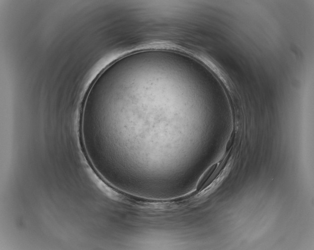 X0000111011438200906191602