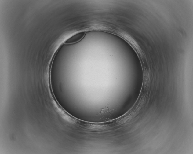 X0000111011439200906191602