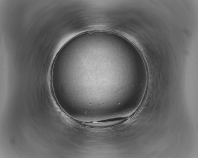 X0000111011440200906191602