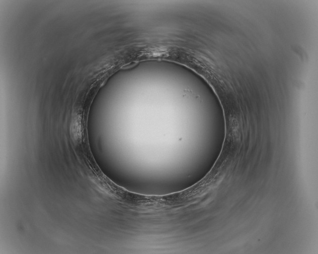 X0000111011442200906191602