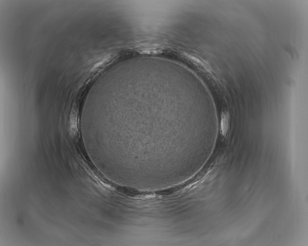 X0000111011444200906191602