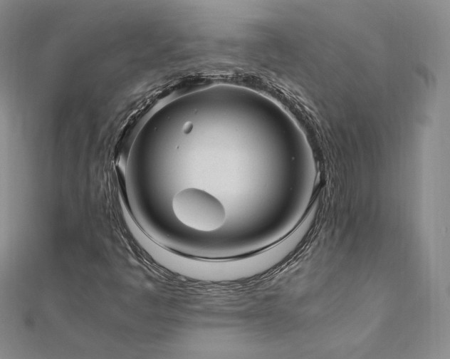 X0000111011445200906191602