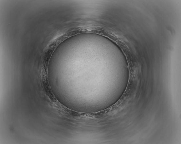 X0000111011446200906191602
