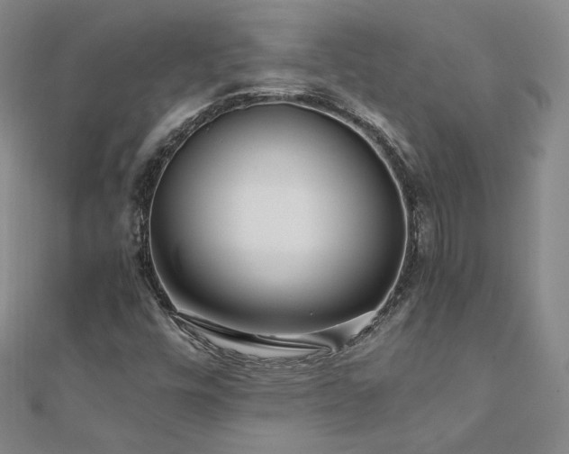 X0000111011448200906191602