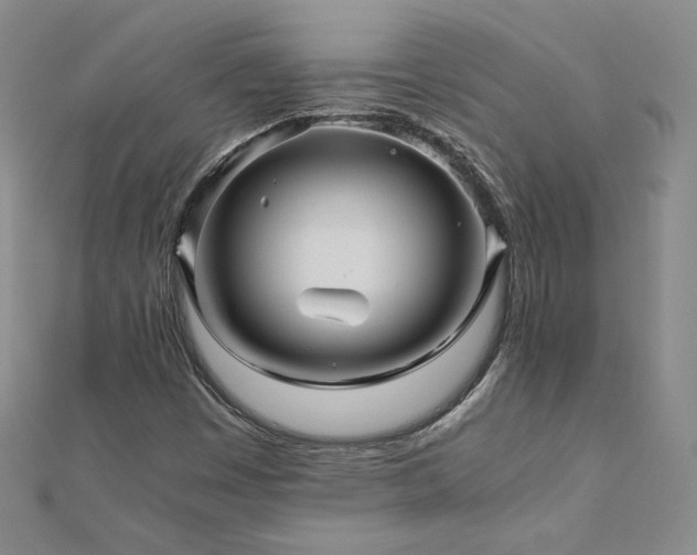 X0000111011449200906191602