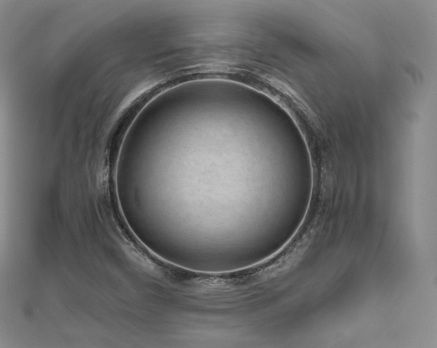 X0000111011450200906191602