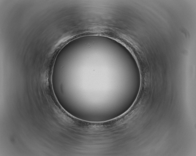 X0000111011451200906191602