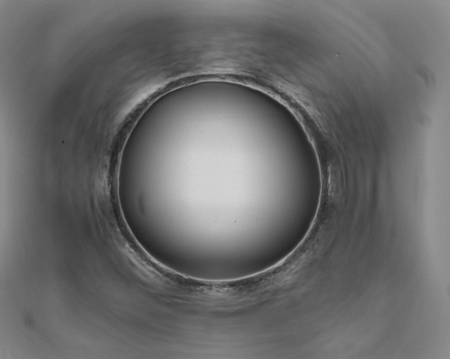 X0000111011452200906191602