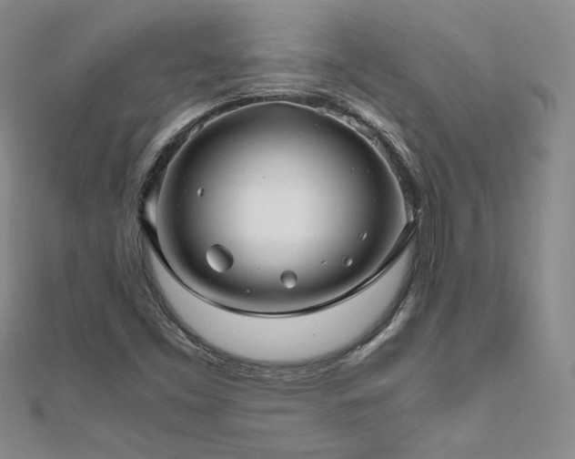 X0000111011453200906191602
