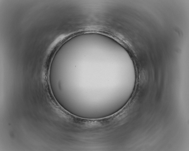 X0000111011454200906191601