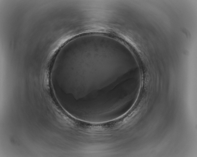 X0000111011455200906191601