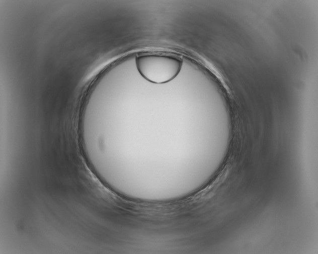 X0000111011456200906191601