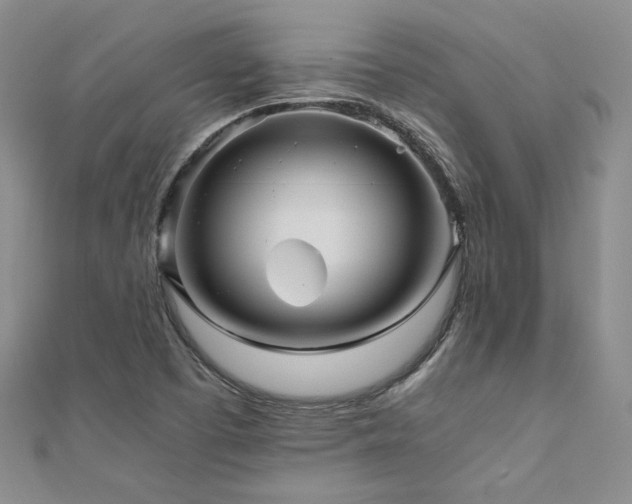 X0000111011457200906191601
