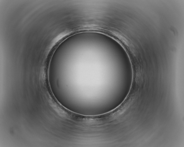 X0000111011458200906191601